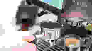A person places espresso in an espresso machine