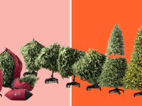A step-by-step showcase of a flip tree being built in front of a background.
